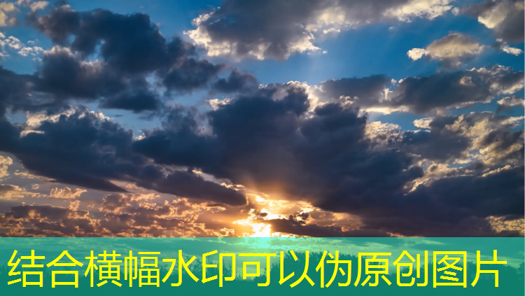 阿迪达斯跆拳道最新款护具