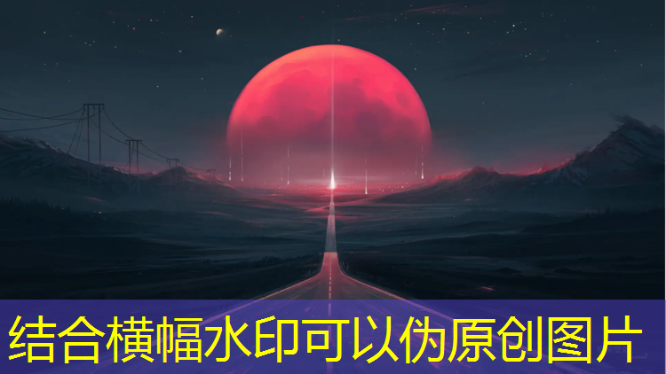 跆拳道穿护具组合训练