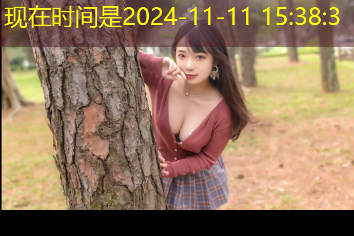 跆拳道护具发展史