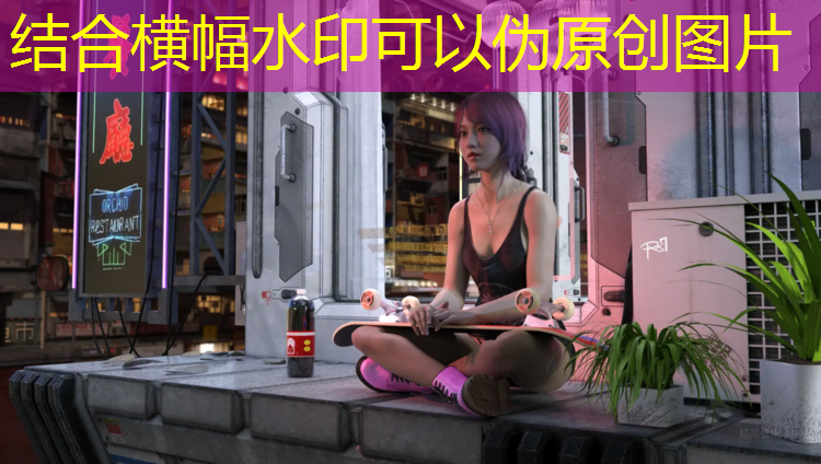24看网球网