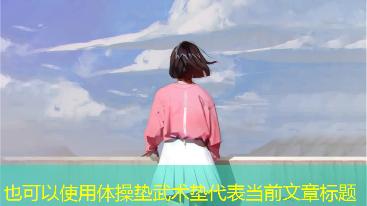 体操垫武术垫