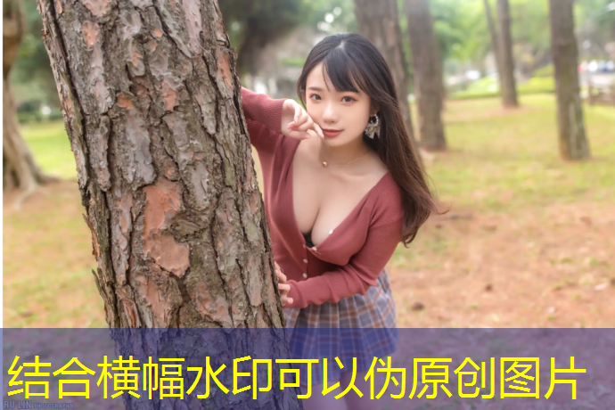 跆拳道电子护具答题