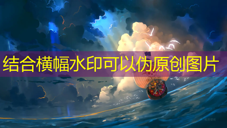 双鸭山塑胶跑道铺设工程
