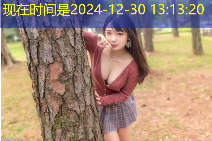 做有绳网球网球