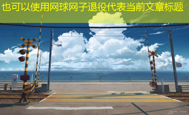 网球网子退役