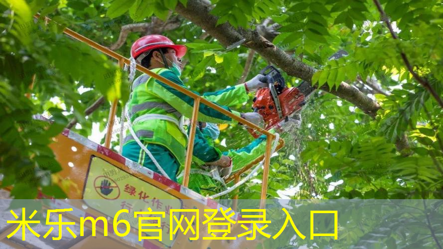百宝力网球拍重量选择