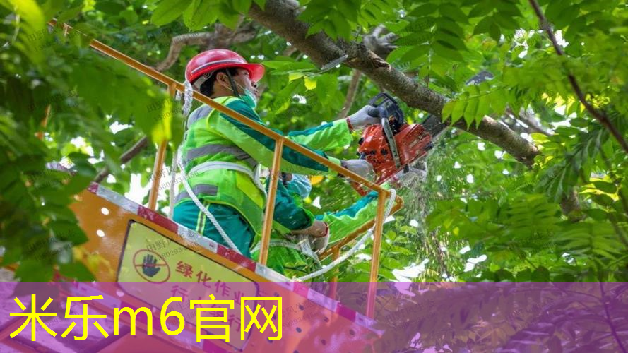 米乐：网球拍拉线一般去哪里
