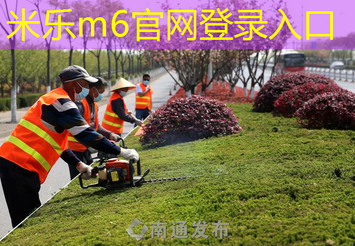 网球拍红双喜正版型号290