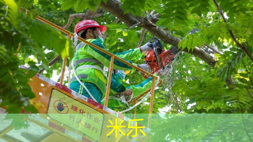 网球拍有什么科技和技术