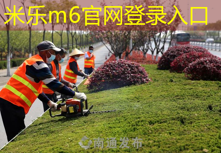 mile·米乐m6：颜值高且便宜的网球拍