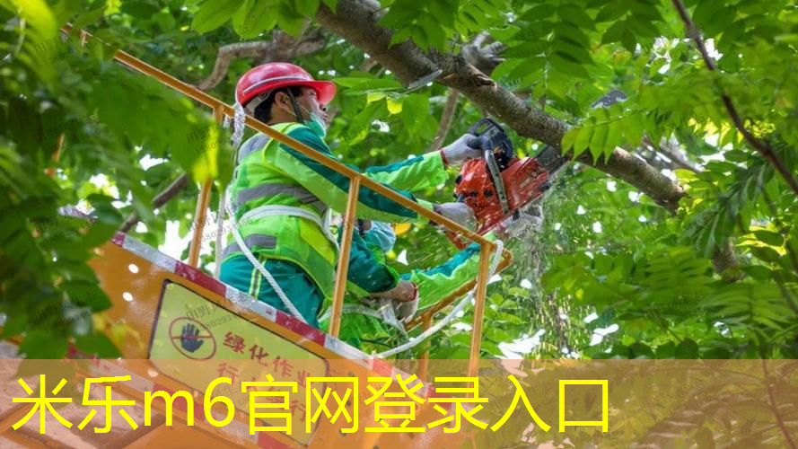 米乐：网球拍入门知识点归纳图解