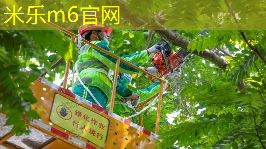 网球拍初学者男长拍
