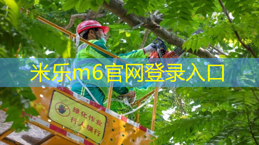 mile·米乐m6：司骏416网球拍怎么拆