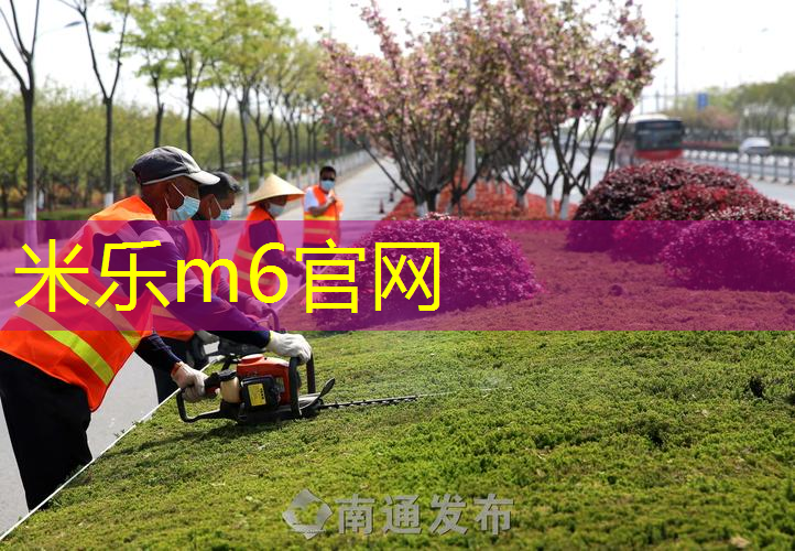 百宝力网球拍2017款