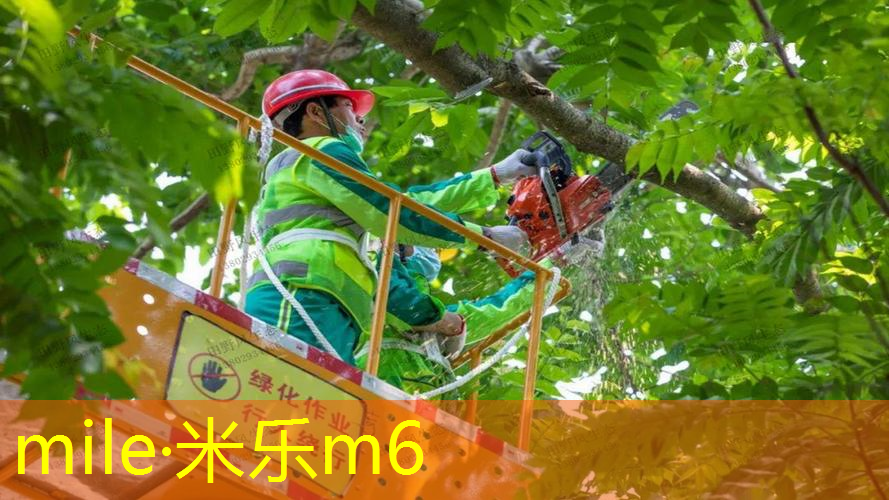 mile米乐m6官网：网球拍怎么安装避震底座