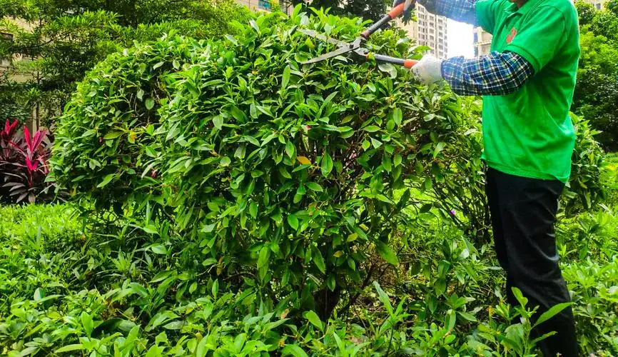 米乐：网球拍的质保都包括哪些