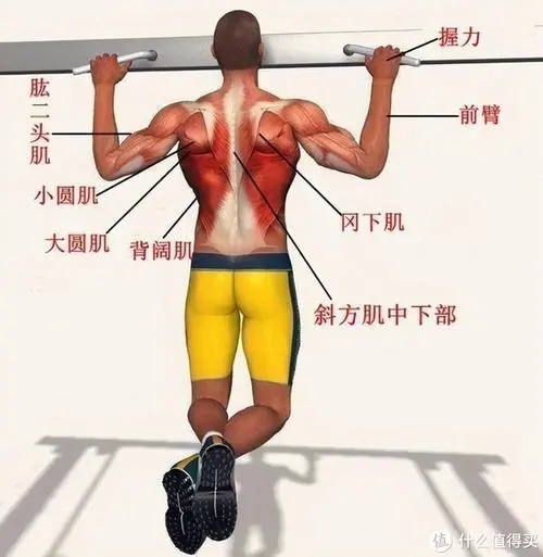 乒乓球台内球的发球要领
