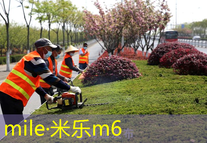 新网球拍两个把手