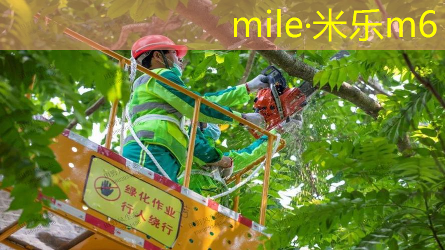 百保力2023拉法网球拍