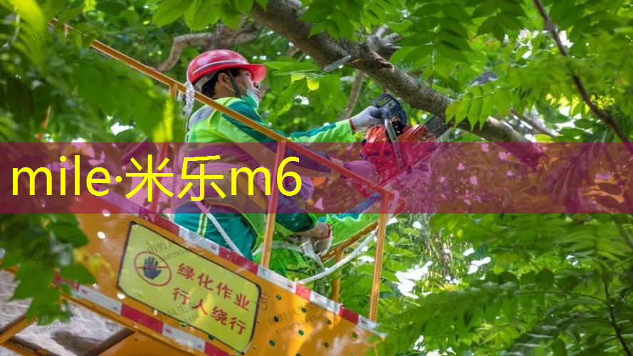 网球拍拉线一般去哪里