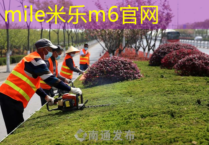 网球拍红双喜正版型号290