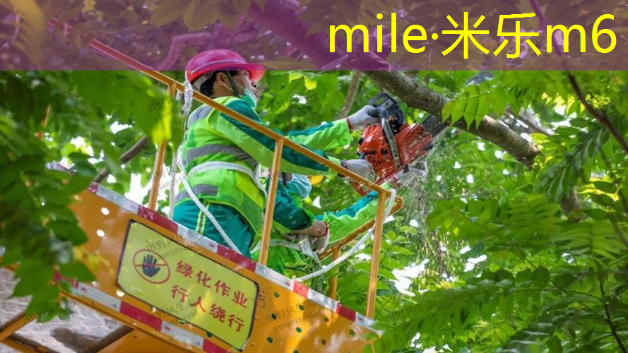 网球拍有什么科技和技术