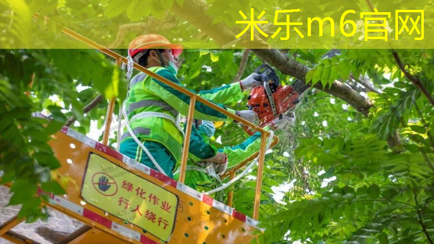 网球拍选择多大的拍面