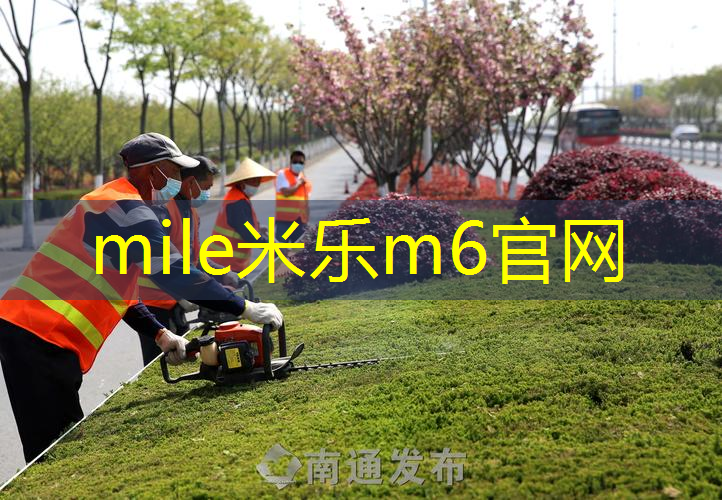 网球拍哪种是贵的好用