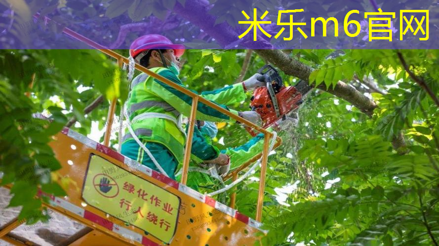 森林网球拍在哪儿
