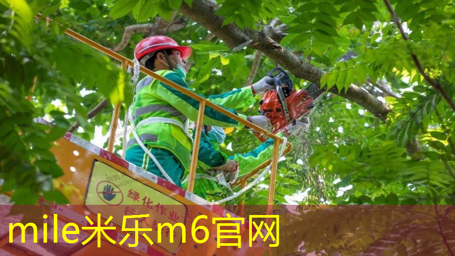 网球拍入门知识点归纳图解