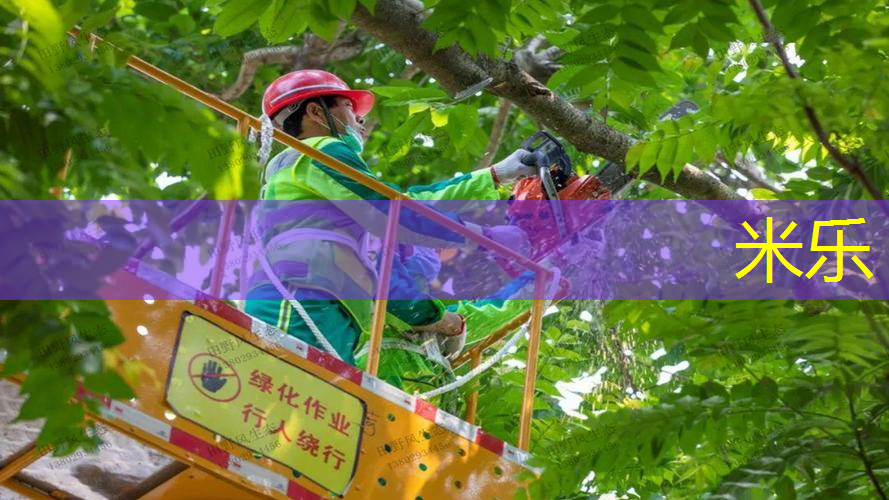 网球拍初学者男长拍