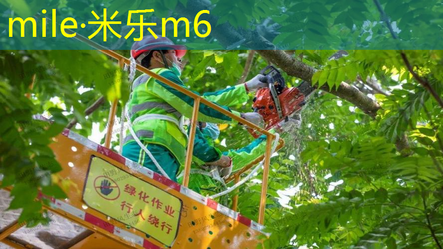 司骏416网球拍怎么拆