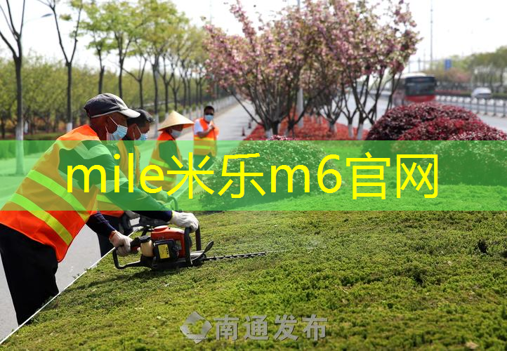 百宝力网球拍2017款