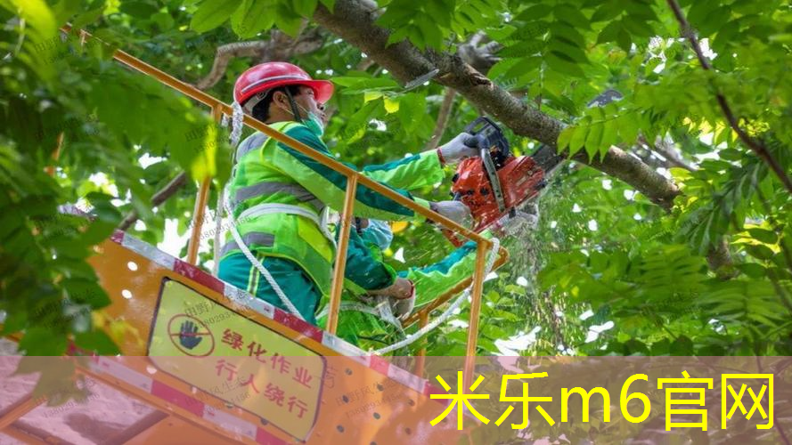 网球拍穿线两个结教程