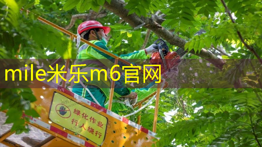 网球拍怎么安装避震底座